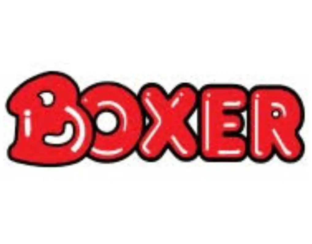 Boxer Is Hiring March 2024 Jobs Sasavacancies